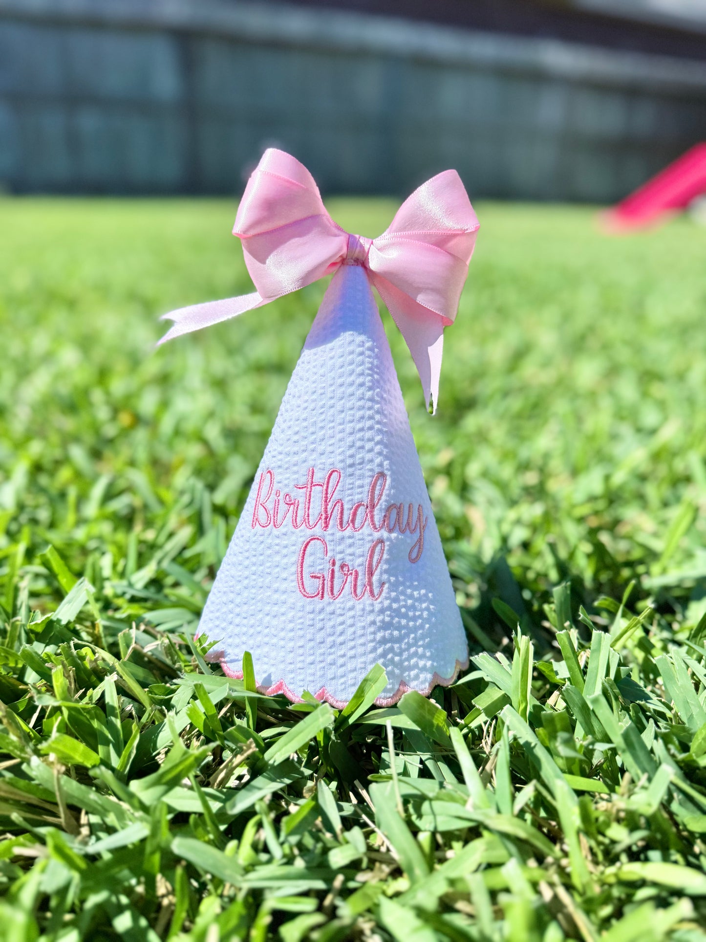 Embroidered Party Hat with Bow
